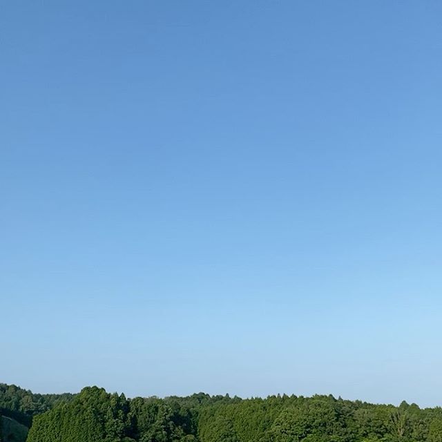 久しぶりの天空農園です。気温18℃からぐんぐん気温上がってます！今日も通常収穫出荷します。